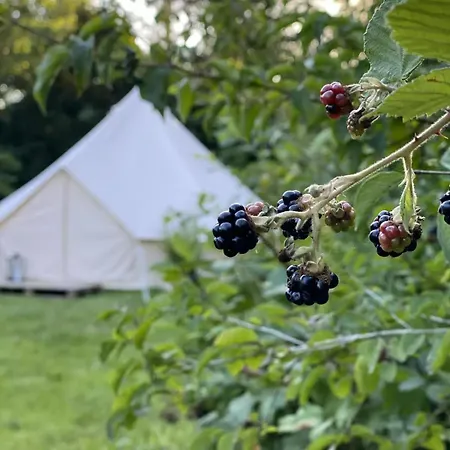 Dom wakacyjny Braemle Teltet - Littlest Camp *
